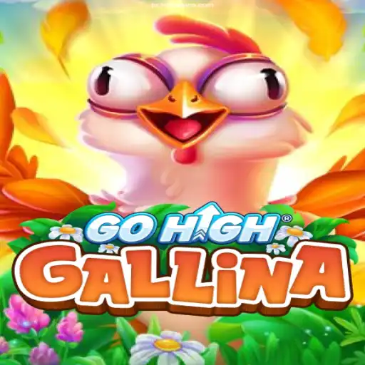 Exploring the Thrilling World of GoHighGallina: A Casino Gaming Adventure